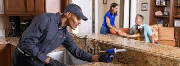 Best Pest Exclusion Services  in Countryside, VA